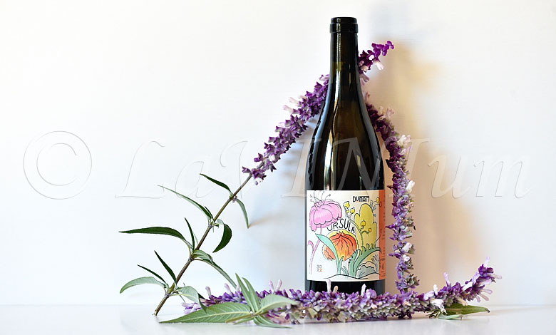 Trebbiano Ursula 2022 Dumatt