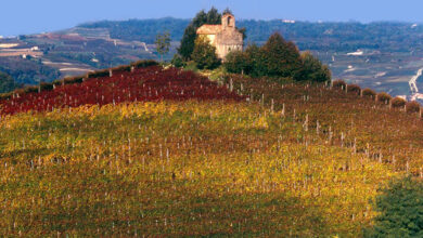 Vigneto Santo Stefano
