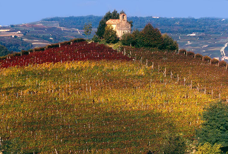 Vigneto Santo Stefano