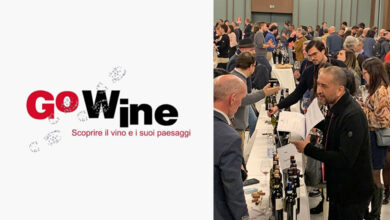 tour in Italia di Barolo, Barbaresco e Roero