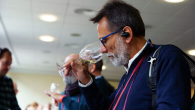 L'Italia del Pinot Nero e del Sauvignon