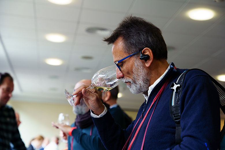 L'Italia del Pinot Nero e del Sauvignon