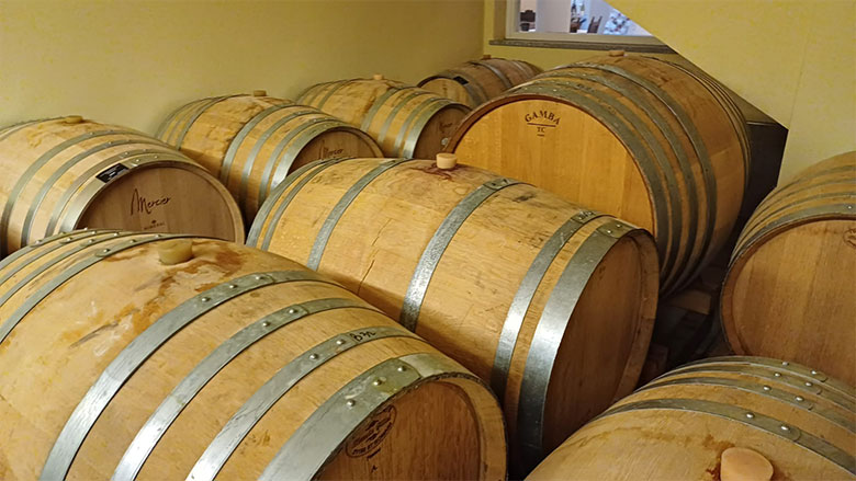 Cantina di fermentazione dei vini bianchi