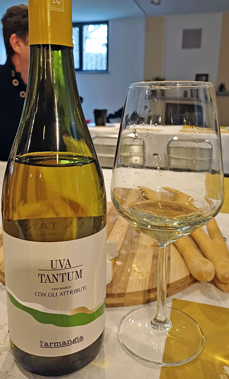 Uva Tantum 2017