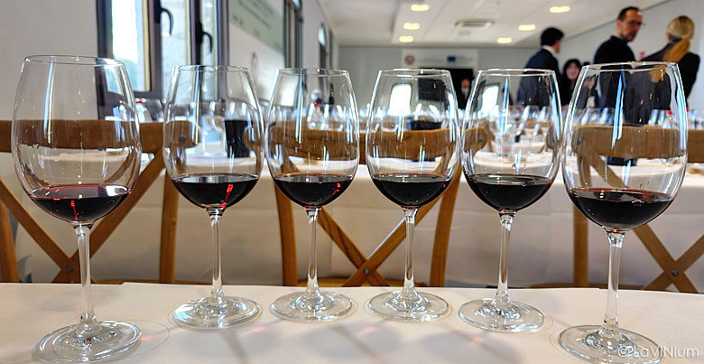 I colori del Nobile nel calice