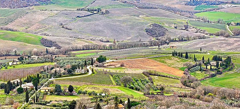 Veduta da Montepulciano