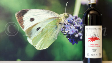 Valtellina Superiore Inferno Fiamme Antiche 2015 Arpepe