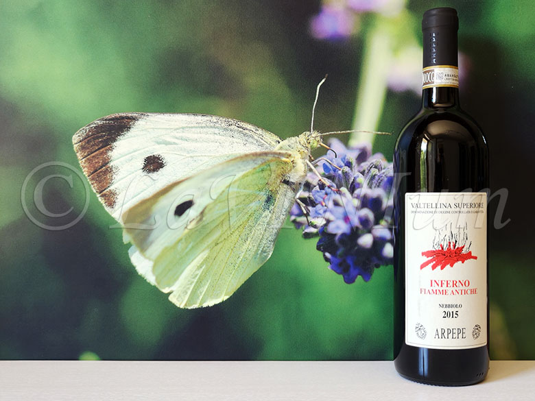 Valtellina Superiore Inferno Fiamme Antiche 2015 ARPEPE