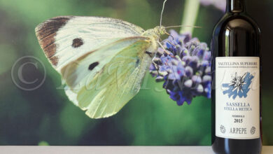 Valtellina Superiore Sassella Stella Retica 2015 Arpepe