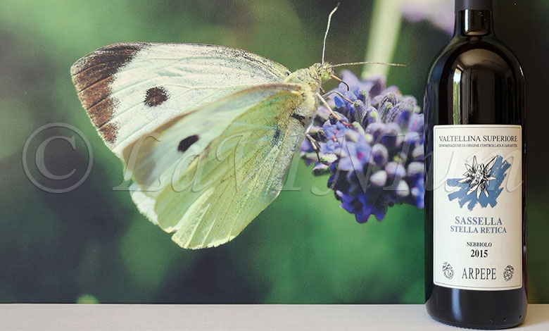 Valtellina Superiore Sassella Stella Retica 2015 Arpepe