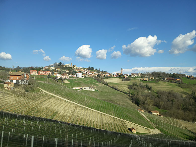 Le colline vitate del Barolo