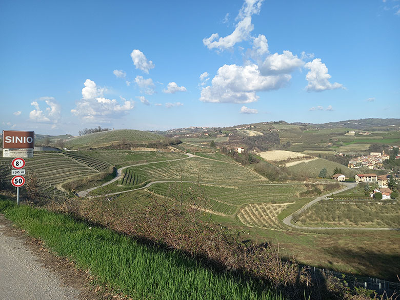 Vigneti a Sinio