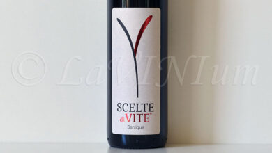 Canavese Barbera Barrique Scelte di Vite 2022 Cantina 366