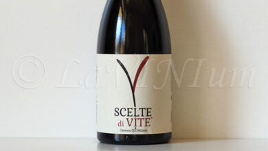 Canavese Nebbiolo Scelte di Vite 2022 Cantina 366