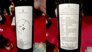 Vermentino di Gallura In Vino Veritas 2013 Tenute Olbios