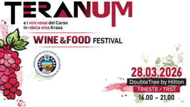 Locandina Teranum 2026