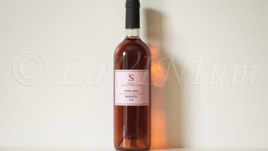 Rosato 2024 Poderi Sanguineto I e II