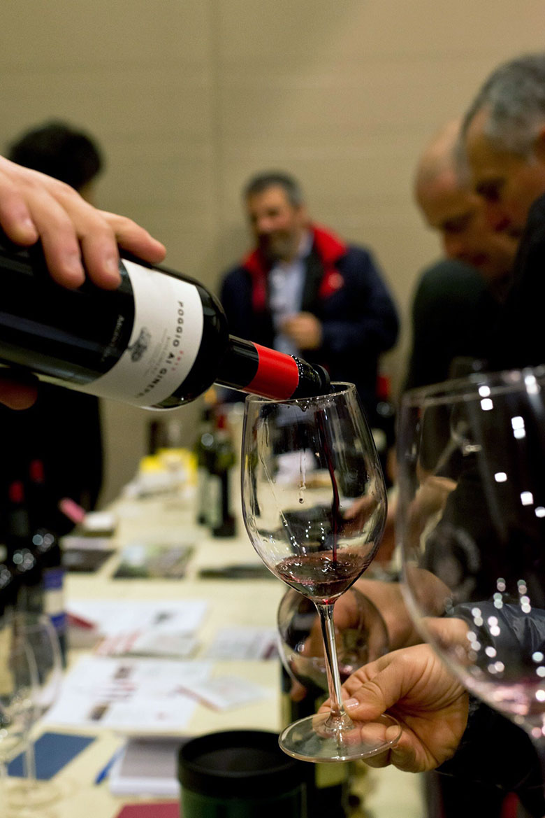 Terre di vite banchi d'assaggio