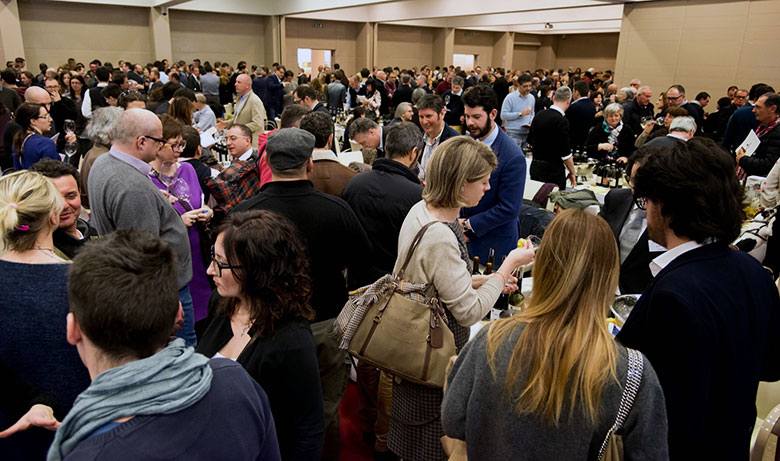 Terre di vite banchi d'assaggio