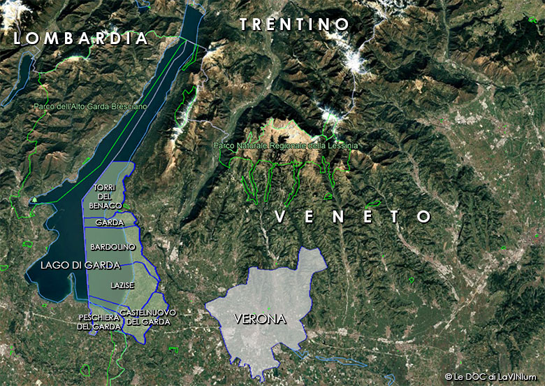 Le DOC del Veneto: Bardolino Sottozona La Rocca