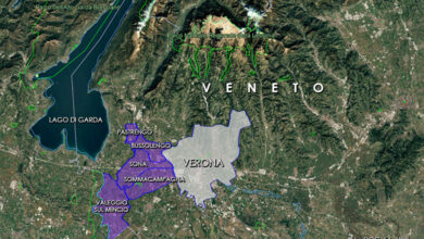 Le DOC del Veneto: Bardolino Sottozona Sommacampagna