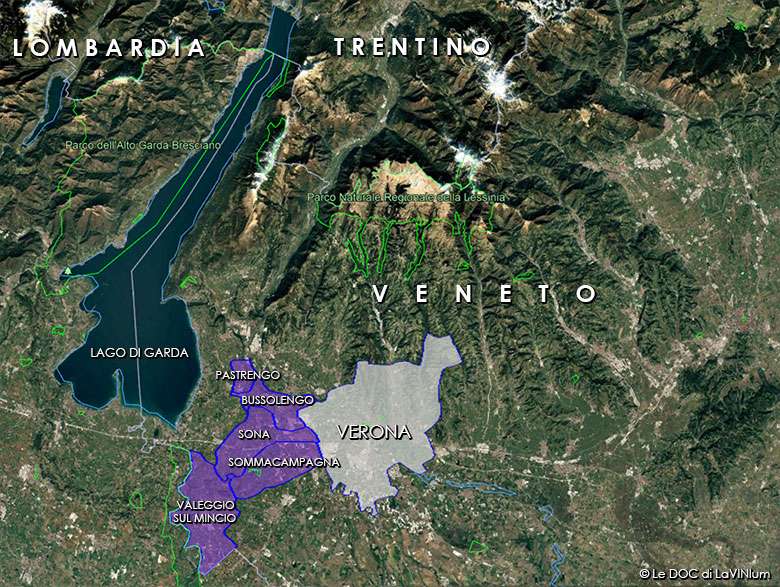 Le DOC del Veneto: Bardolino Sottozona Sommacampagna