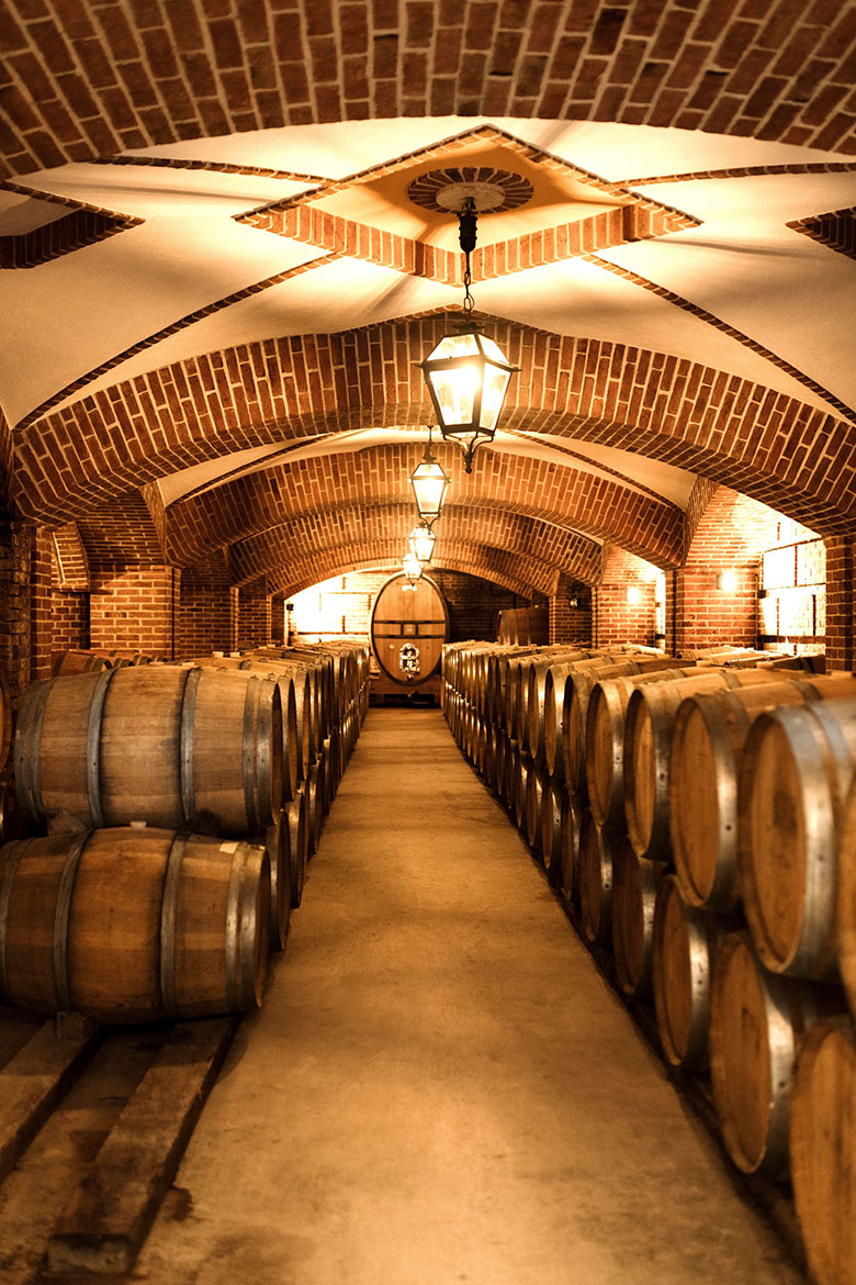 Rocche dei Manzoni. La cantina