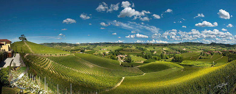 Langhe vista sui vigneti