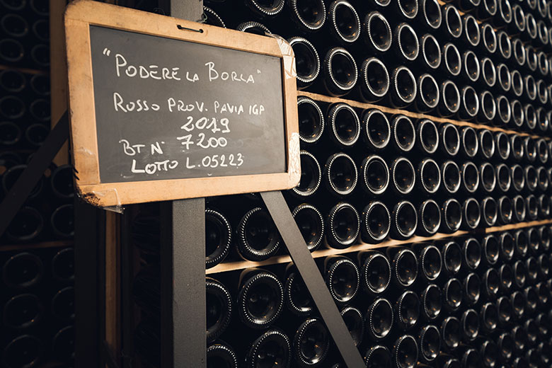 Vini in cantina a Monsupello