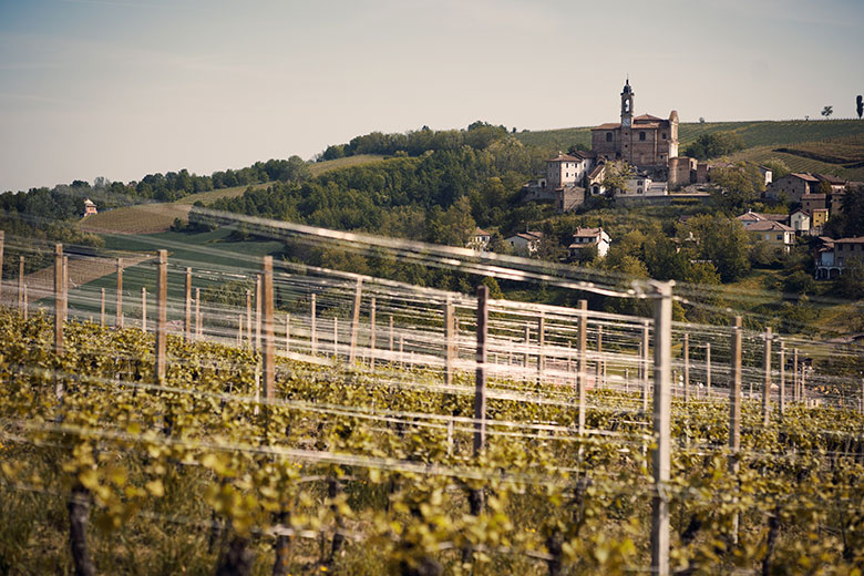 Vigneti azienda Monsupello