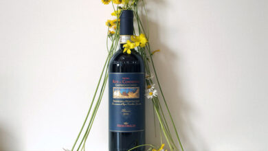 Brunello di Montalcino Ripe al Convento 2020 CastelGiocondo