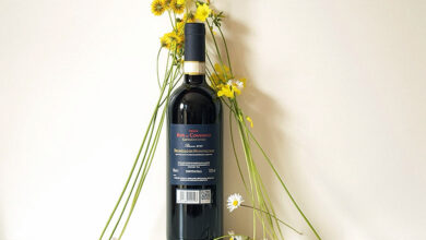 Brunello di Montalcino Ripe al Convento 2020 CastelGiocondo