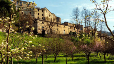 Cantine Di Marzo