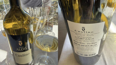 Falanghina Caulino 2018 Aloi