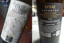 Colli di Luni Vermentino Cavagino 2024 Lunae