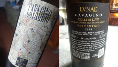 Colli di Luni Vermentino Cavagino 2024 Lunae