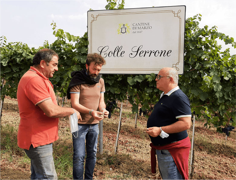 Al centro l'enologo Vincenzo Mercurio