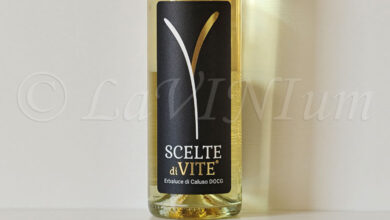 Erbaluce di Caluso Scelte di Vite 2022 Cantina 366