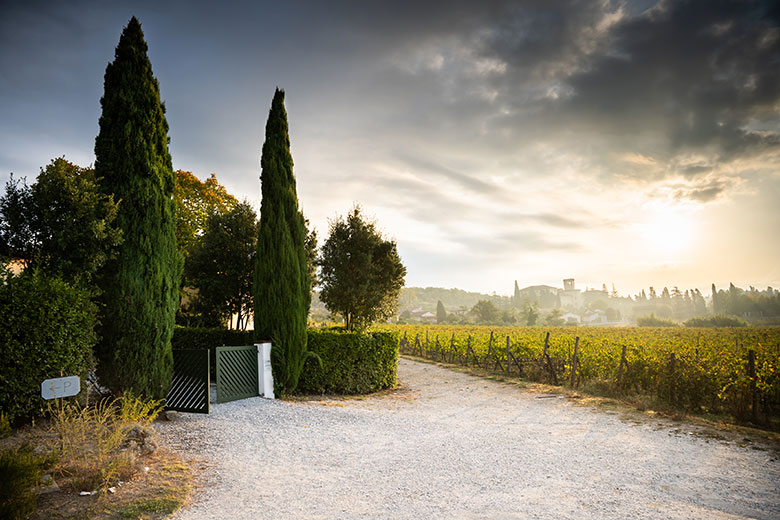Fattoria Sardi