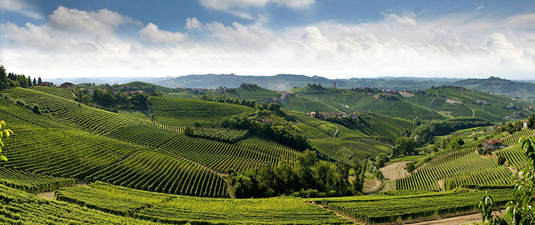 Langhe vista sui vigneti
