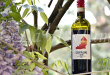 Roero 2023 Casa Tallone