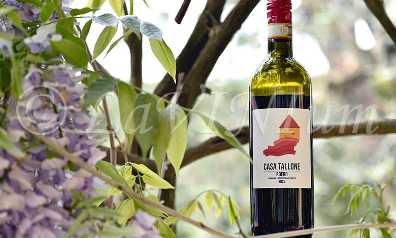 Roero 2023 Casa Tallone