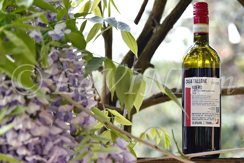 Roero 2023 Casa Tallone