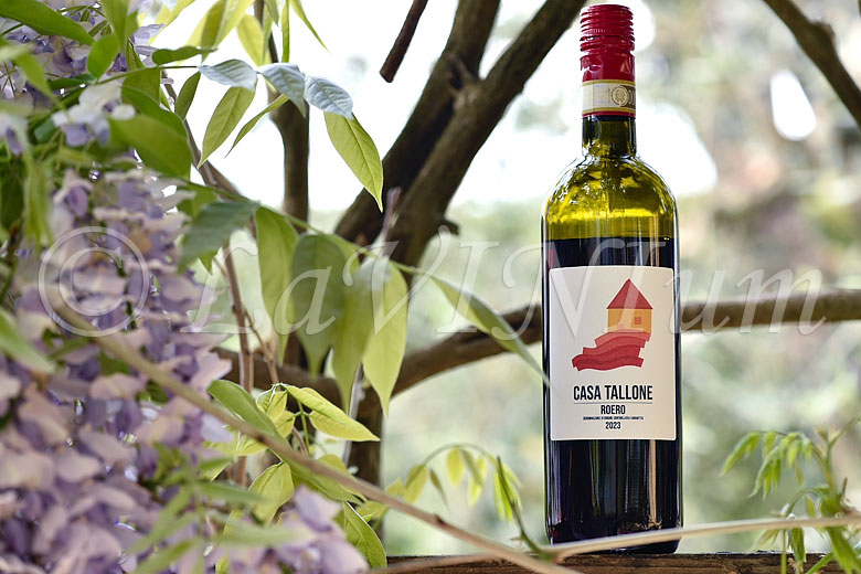 Roero 2023 Casa Tallone