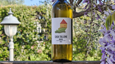 Roero 2024 Casa Tallone