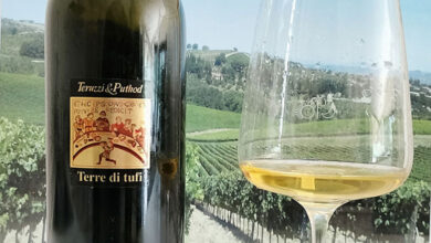 Bianco Terre di Tufi 2013 Teruzzi