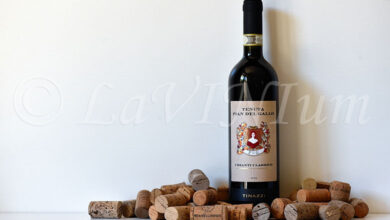 Chianti Classico Tenuta Pian del Gallo 2022 Tinazzi