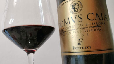 Sangiovese di Romagna Superiore Riserva Domus Caia 2001 Ferrucci