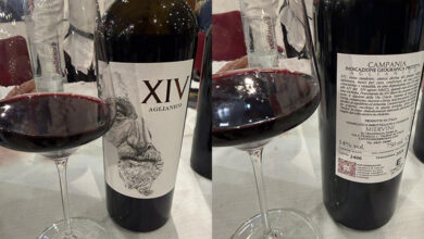 Aglianico XIV 2024 Mier Vini