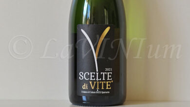 Erbaluce di Caluso Spumante Scelte di Vite 2021 Cantina 366